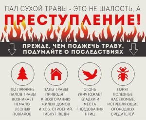 Памятка Пал сухой травы - преступление, которое приводит к уничтожению леса, животных и личного имущества. 
