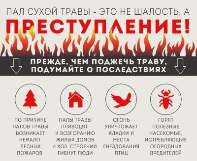 Памятка Пал сухой травы - преступление, которое приводит к пожарам в лесу, гибели животных, утрате имущества